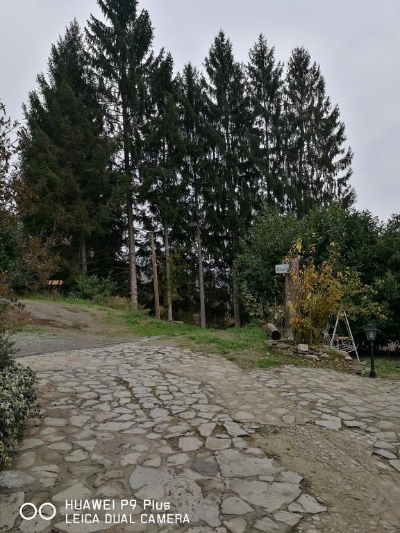 Agriturismo Davide Bossolasco المظهر الخارجي الصورة